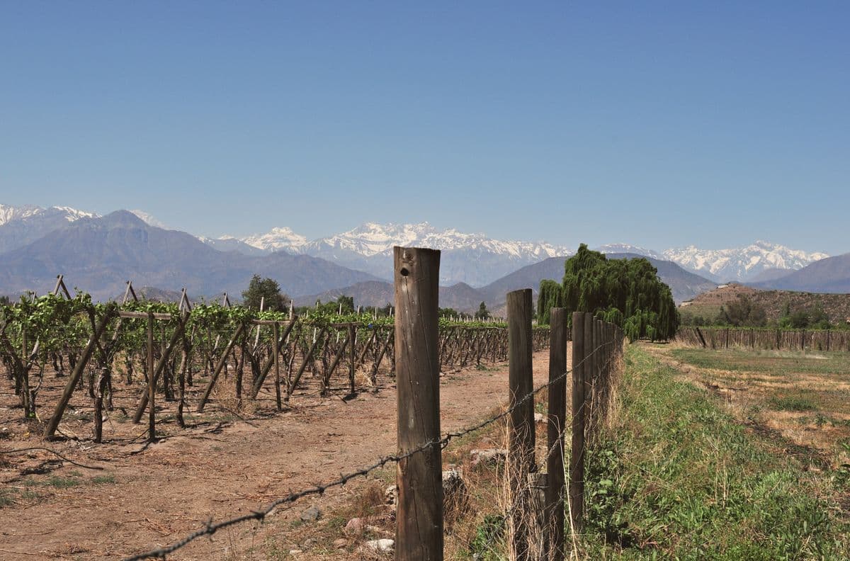 Patagonia y los Andes