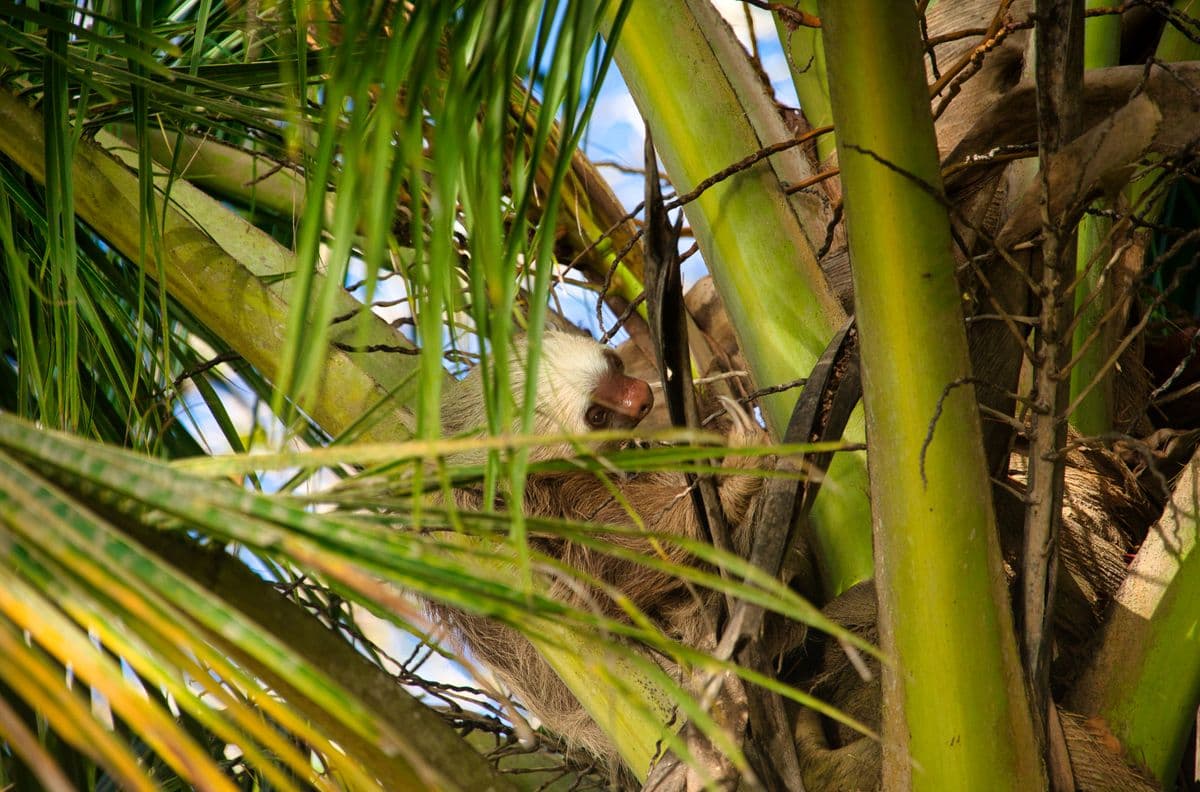 Fauna y naturaleza