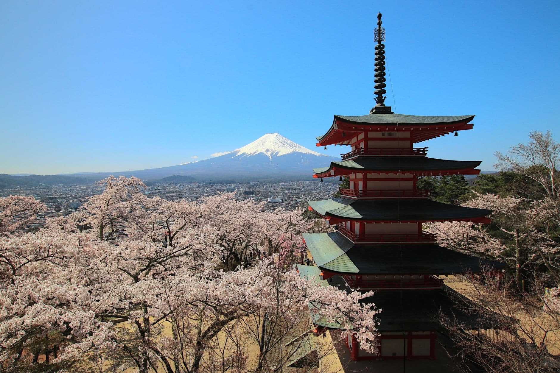 Japón — Cerezos, ryokan y el monte Fuji.