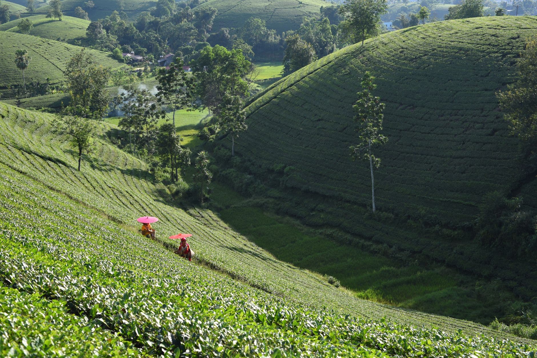 Sri Lanka