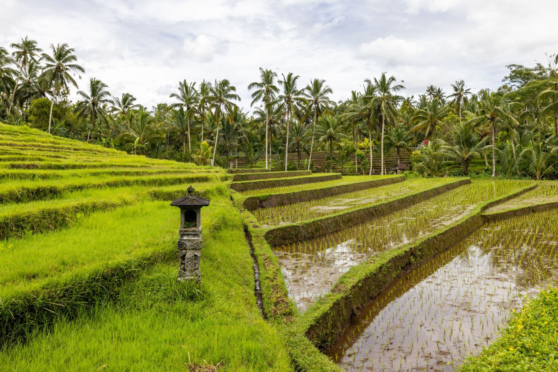 Bali & las Gili — Selva, arrozales y piscinas suspendidas.