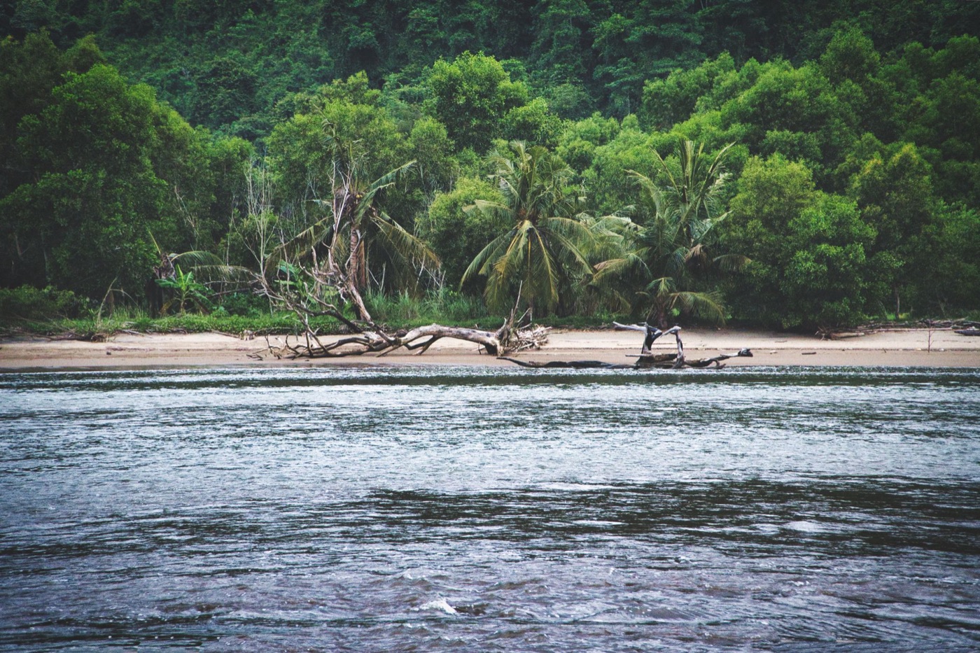 Manuel Antonio