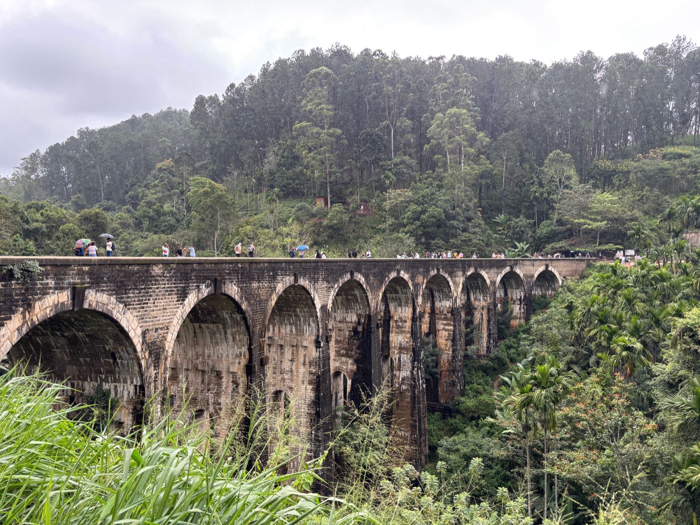 Tren por las colinas de té