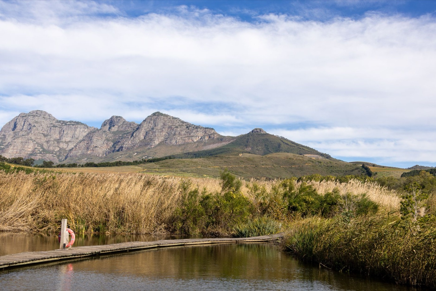 Viñedos de Stellenbosch
